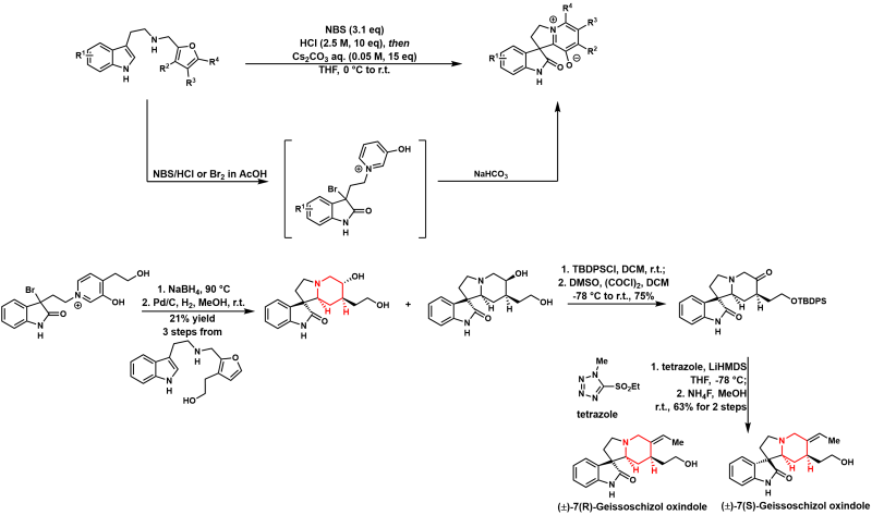 Total Synthesis of Tetracyclic Spirooxindole Alkaloids via a Double ...